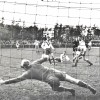 alkmaar-graafs3-2JS.jpg