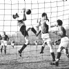 18-03-1956Alkmaar03954-Emma2-0.jpg