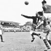 04-1954-08-14Alkmaar-Venlo3-0.jpg