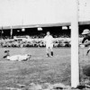 14-1954-08-14Alkmaar-Venlo3-0.jpg