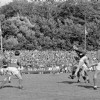 01-09-1968AZ03967-fcTwente1-2.jpg