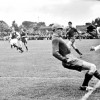 07-1954-08-14Alkmaar-Venlo3-0.jpg