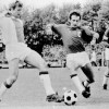 18-05-1969AZ03967-Ajax0-3.jpg