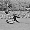 14-09-1969AZ03967-Ajax0-1.jpg