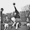 1954-12-19Alkmaar-Limburgia1-0.jpg