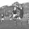 24-11-1957Alkmaar03954-DFC2-1.jpg