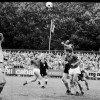 71-72AZ-CAMBUUR49.jpg