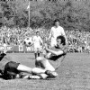 11-05-1972AZ03967-WillemII7-1.jpg