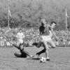 11-05-1972AZ03967-WillemII7-1.jpg