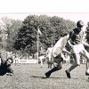 11-05-1972AZ03967-WillemII7-1.jpg