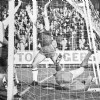74-75AZ-MVV11.jpg