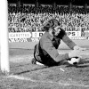FEB75RODA-AZ026.jpg