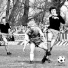 040.jpg