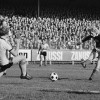 x24-10-76AZ-RODA2BB.jpg