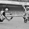 x24-8-77AZ-UTRECHTBB.jpg