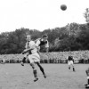 18-09-1955Alkmaar03954-DeVolewijckers1-0.jpg