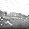 04-12-1955Alkmaar03954-Elinkwijk2-0.jpg