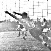 21-05-1956Alkmaar03954-GVAV1-1.jpg