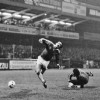 14-3-81BB.jpg