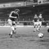 11-4-81AZ-AJAXBB.jpg