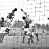 09-10-1955Alkmaar03954-SVV2-0.jpg