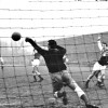 02-02-1958Alkmaar03954-HVC1-1.jpg