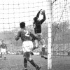 14-02-1960Alkmaar03954-VSV1-4.jpg