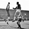 16-10-1960Alkmaar03954-Feijenoord2-4.jpg