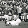 AZ-RODAJC1-0vrij.jpg
