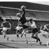 19-03-1961Feijenoord-Alkmaar039546-0.jpg