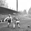 23-10-1960PSV-Alkmaar039542-1.jpg