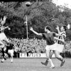 29-10-1961Alkmaar03954-Vitesse2-3.jpg