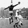 21-01-1962Alkmaar03954-Veendam1-0.jpg