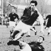 18-02-1962Alkmaar03954-Stormvogels6-1.jpg